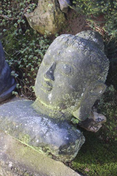 Buddha Kopf Büste Flusstein Java